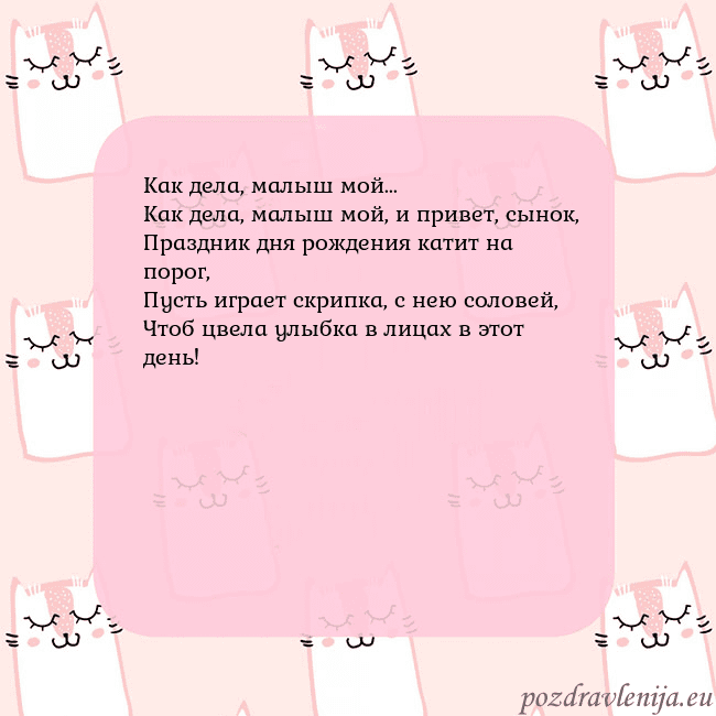 Розовая открытка с забавными кошками