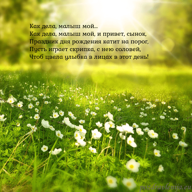 Электронная открытка с утопающим в солнечном свете лугом