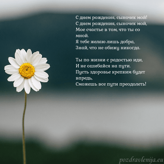 Электронная открытка с ромашкой