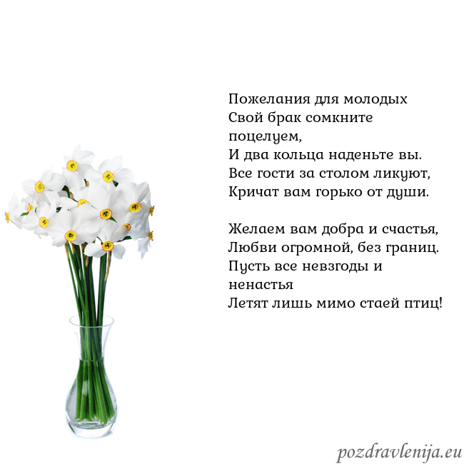 Открытка с нарциссами Пожелания для молодых
Свой брак сомкните поцелуем, Открытка с нарциссами