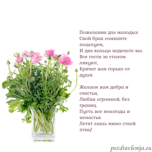 Открытка с цветами в вазе Пожелания для молодых
Свой брак сомкните поцелуем, Открытка с цветами в вазе