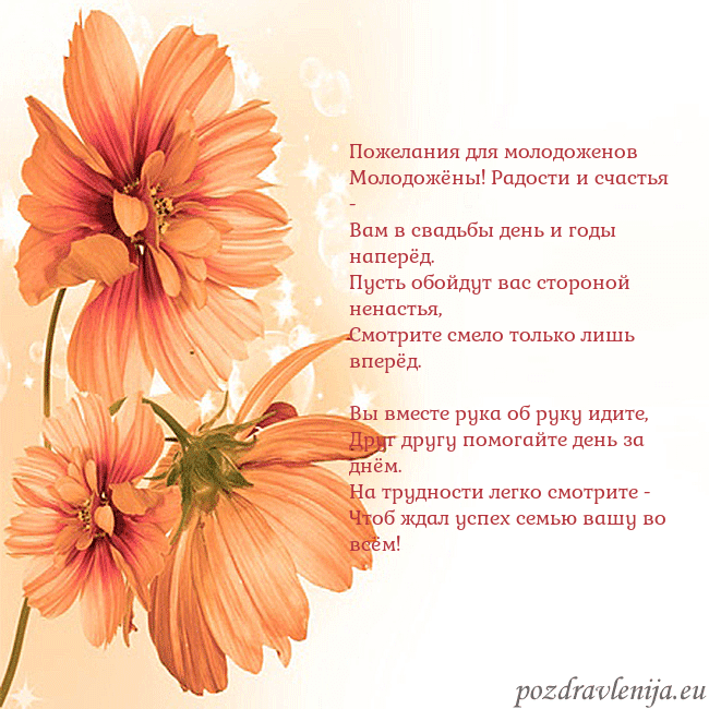 Открытка с оранжевыми цветами Пожелания для молодоженов
Молодожёны! Радости и сч Открытка с оранжевыми цветами