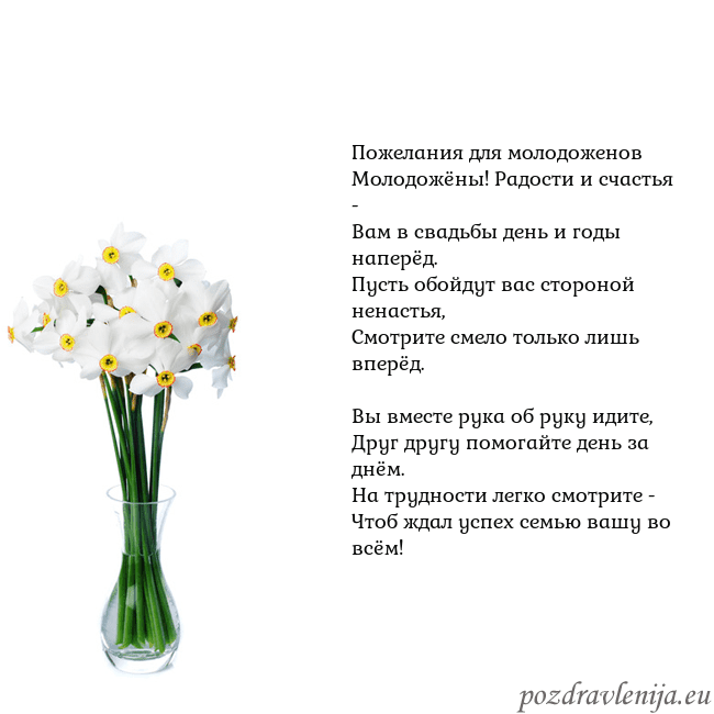 Открытка с нарциссами Пожелания для молодоженов
Молодожёны! Радости и сч Открытка с нарциссами