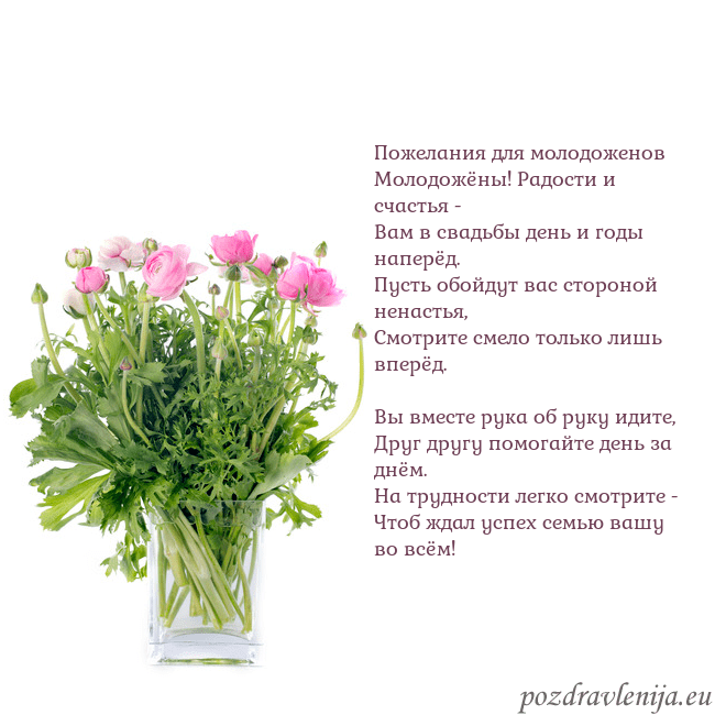 Открытка с цветами в вазе Пожелания для молодоженов
Молодожёны! Радости и сч Открытка с цветами в вазе