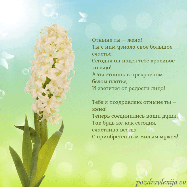 Открытка с гиацинтом Отныне ты – жена!
Ты с ним узнала свое большое сча Открытка с гиацинтом