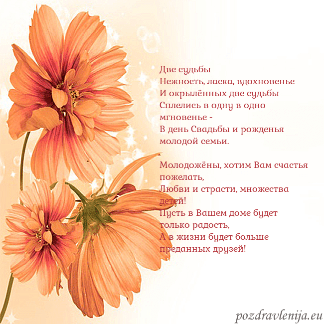 Открытка с оранжевыми цветами Две судьбы
Нежность, ласка, вдохновенье
И окрылённ Открытка с оранжевыми цветами