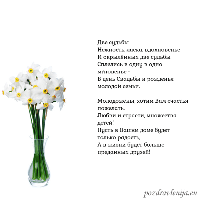 Открытка с нарциссами Две судьбы
Нежность, ласка, вдохновенье
И окрылённ Открытка с нарциссами