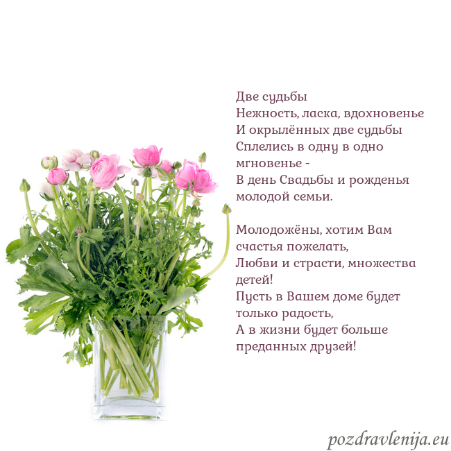 Открытка с цветами в вазе Две судьбы
Нежность, ласка, вдохновенье
И окрылённ Открытка с цветами в вазе