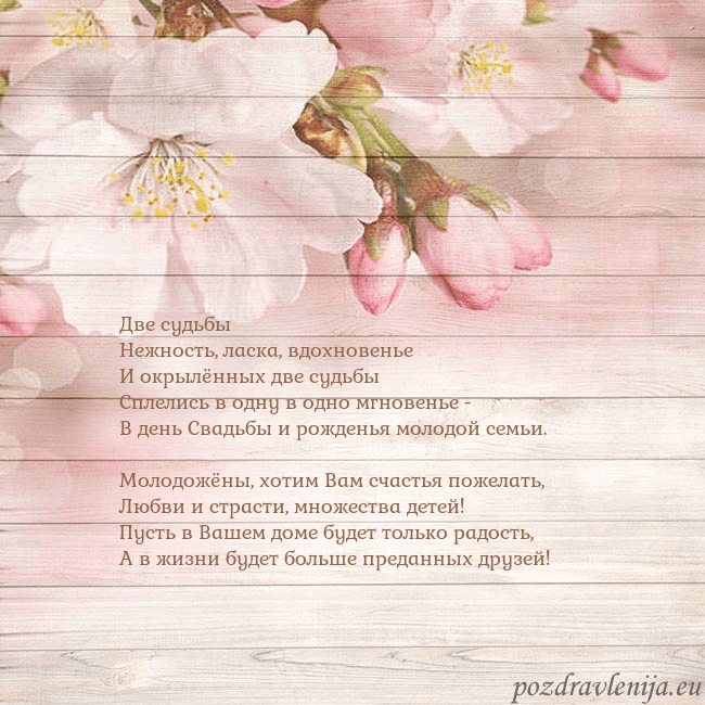 Открытка с цветами яблони Две судьбы
Нежность, ласка, вдохновенье
И окрылённ Открытка с цветами яблони