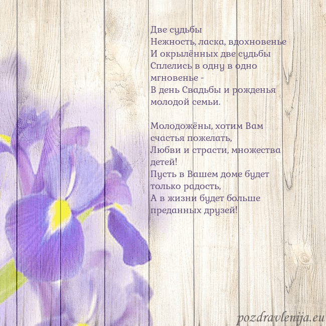 Открытка с ирисами Две судьбы
Нежность, ласка, вдохновенье
И окрылённ Открытка с ирисами