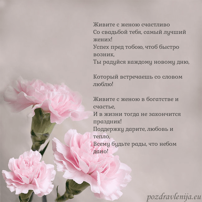 Открытка с розовыми гвоздиками Живите с женою счастливо
Со свадьбой тебя, самый л Открытка с розовыми гвоздиками