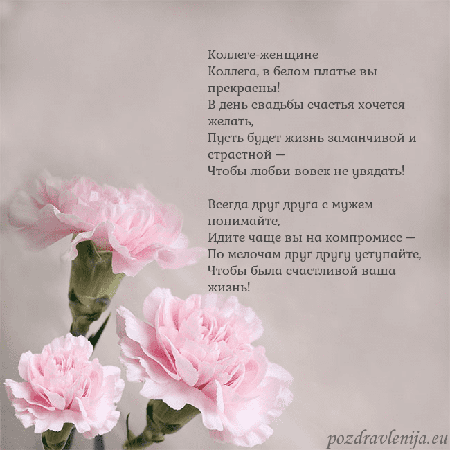 Открытка с розовыми гвоздиками Коллеге-женщине
Коллега, в белом платье вы прекрас Открытка с розовыми гвоздиками