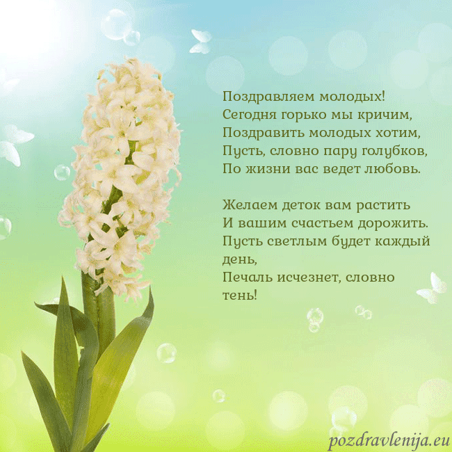 Открытка с гиацинтом Поздравляем молодых!
Сегодня горько мы кричим,
Поз Открытка с гиацинтом