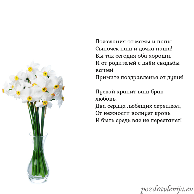 Открытка с нарциссами Пожелания от мамы и папы
Сыночек наш и дочка наша! Открытка с нарциссами