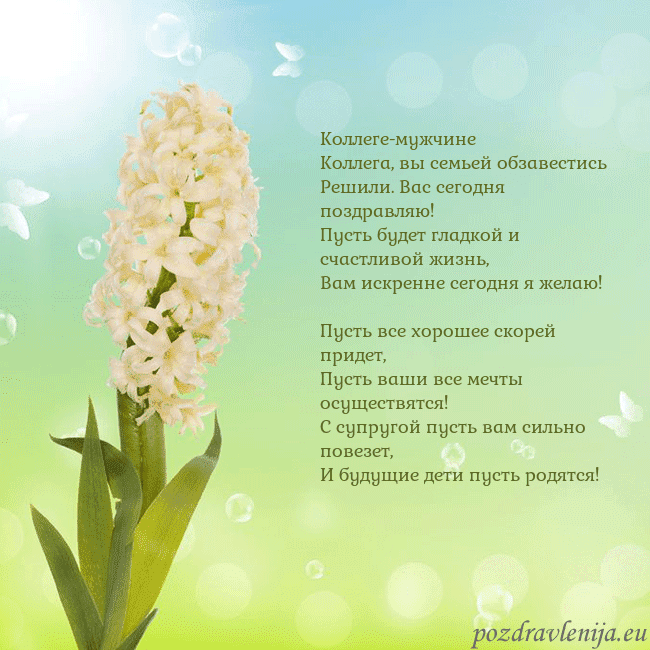 Открытка с гиацинтом Коллеге-мужчине
Коллега, вы семьей обзавестись
Реш Открытка с гиацинтом