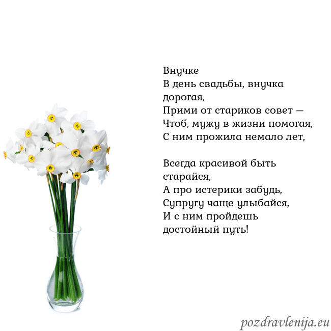 Открытка с нарциссами Внучке
В день свадьбы, внучка дорогая,
Прими от ст Открытка с нарциссами