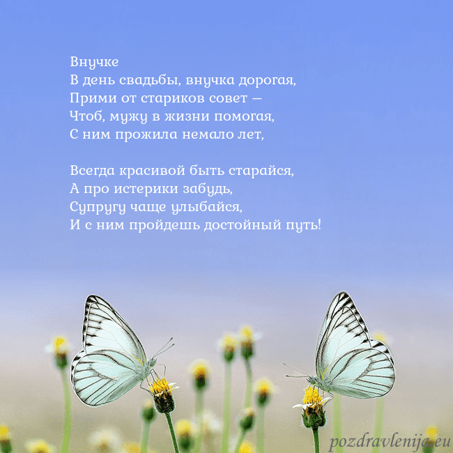 Свадебная открытка с двумя бабочками Внучке
В день свадьбы, внучка дорогая,
Прими от ст Свадебная открытка с двумя бабочками