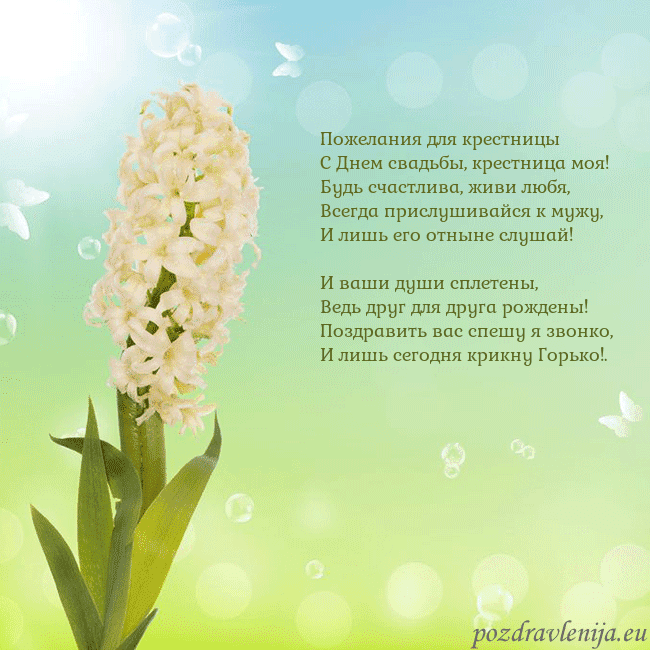 Открытка с гиацинтом Пожелания для крестницы
С Днем свадьбы, крестница Открытка с гиацинтом