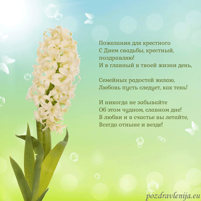 Открытка с гиацинтом Пожелания для крестного
С Днем свадьбы, крестный, Открытка с гиацинтом