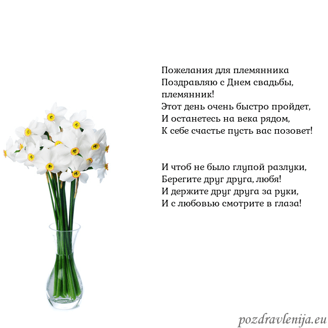 Открытка с нарциссами Пожелания для племянника
Поздравляю с Днем свадьбы Открытка с нарциссами
