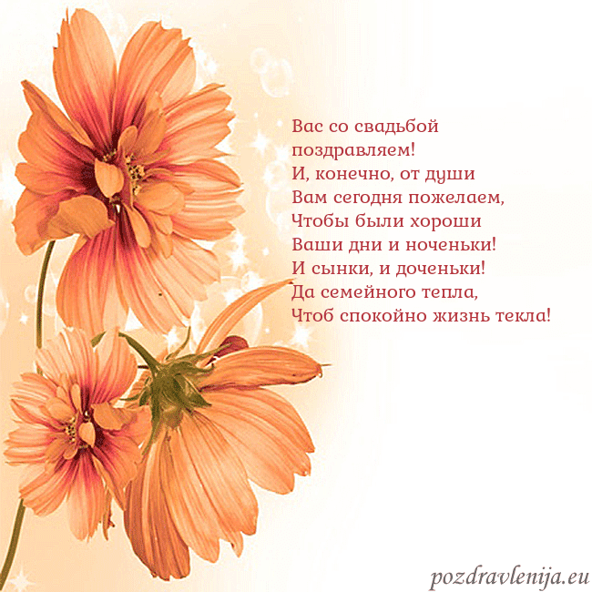Открытка с оранжевыми цветами Вас со свадьбой поздравляем!
И, конечно, от души
В Открытка с оранжевыми цветами