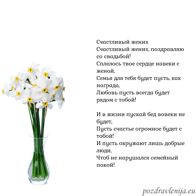 Открытка с нарциссами Счастливый жених
Счастливый жених, поздравляю со с Открытка с нарциссами