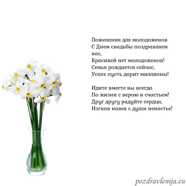 Открытка с нарциссами Пожелания для молодоженов
С Днем свадьбы поздравля Открытка с нарциссами