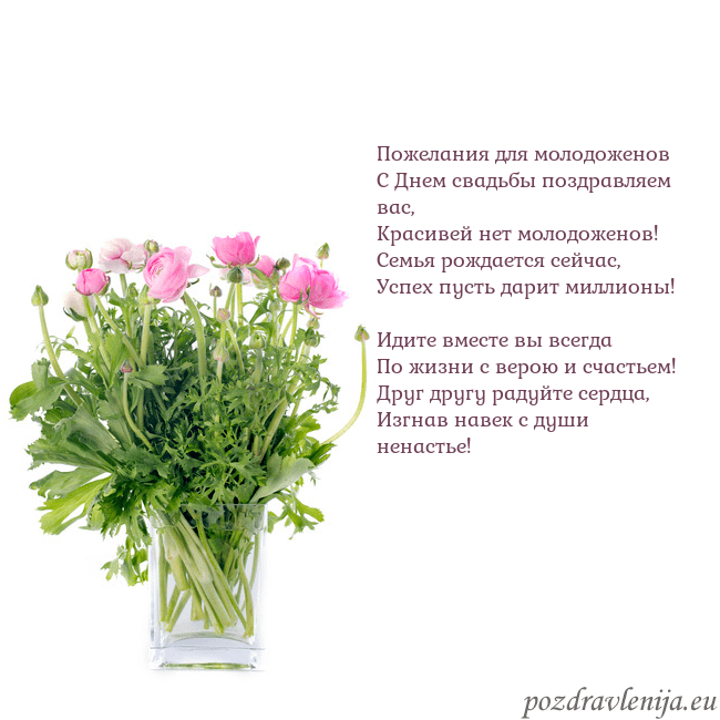 Открытка с цветами в вазе Пожелания для молодоженов
С Днем свадьбы поздравля Открытка с цветами в вазе