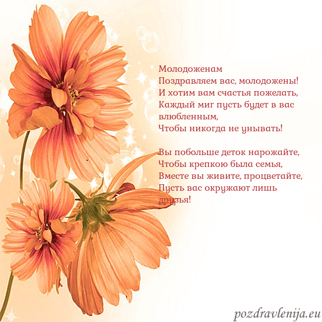 Открытка с оранжевыми цветами Молодоженам
Поздравляем вас, молодожены!
И хотим в Открытка с оранжевыми цветами