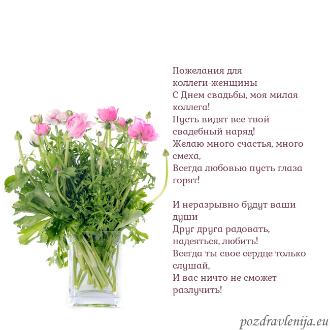Открытка с цветами в вазе Пожелания для коллеги-женщины
С Днем свадьбы, моя Открытка с цветами в вазе