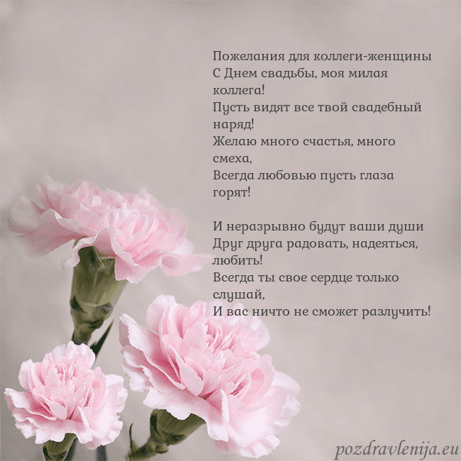 Открытка с розовыми гвоздиками Пожелания для коллеги-женщины
С Днем свадьбы, моя Открытка с розовыми гвоздиками
