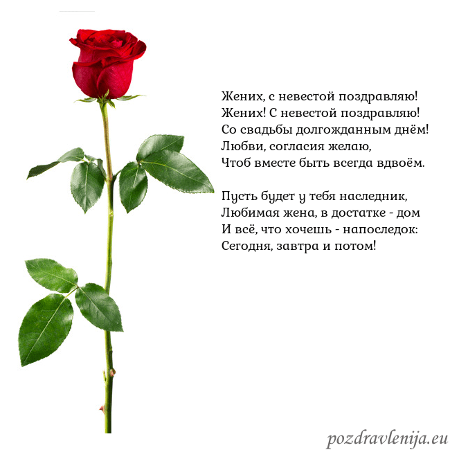 Открытка с красной розой Жених, с невестой поздравляю!
Жених! С невестой по Открытка с красной розой