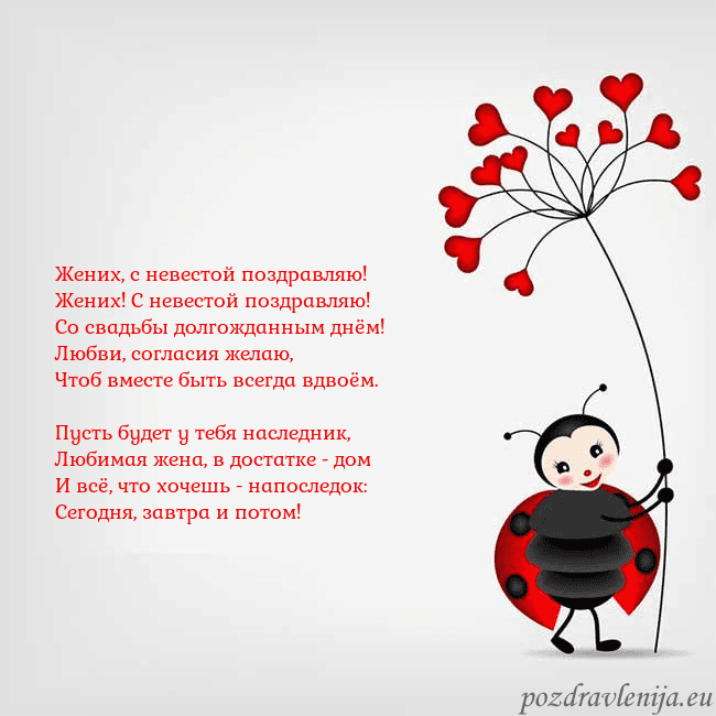 Открытка с божьей коровкой Жених, с невестой поздравляю!
Жених! С невестой по Открытка с божьей коровкой