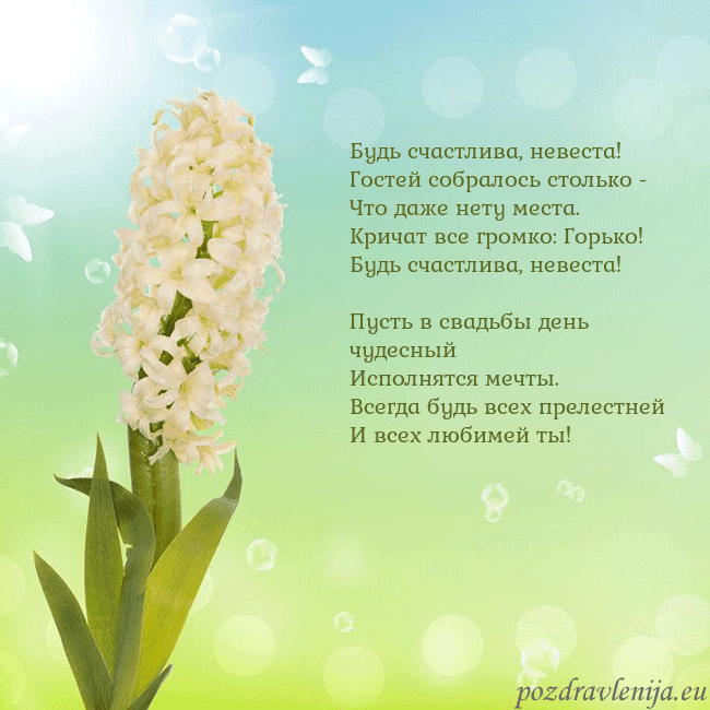 Открытка с гиацинтом Будь счастлива, невеста!
Гостей собралось столько Открытка с гиацинтом