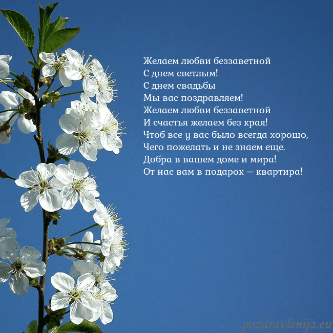 Открытка с весенними цветами Желаем любви беззаветной
С днем светлым!
С днем св Открытка с весенними цветами