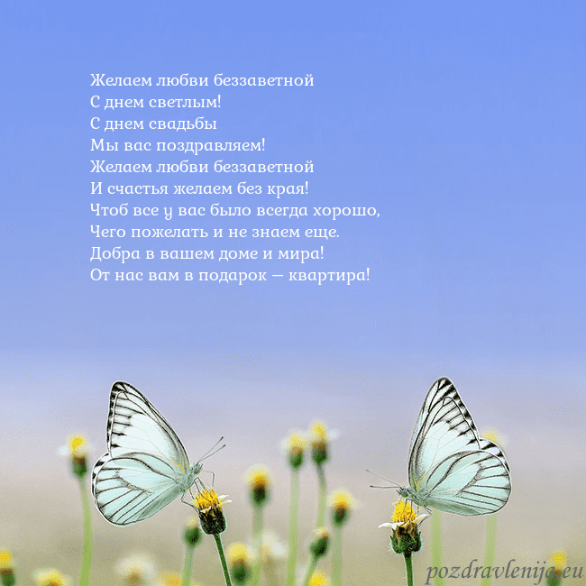 Свадебная открытка с двумя бабочками Желаем любви беззаветной
С днем светлым!
С днем св Свадебная открытка с двумя бабочками