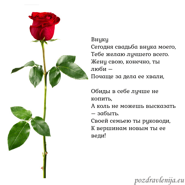 Открытка с красной розой Внуку
Сегодня свадьба внука моего,
Тебе желаю лучш Открытка с красной розой