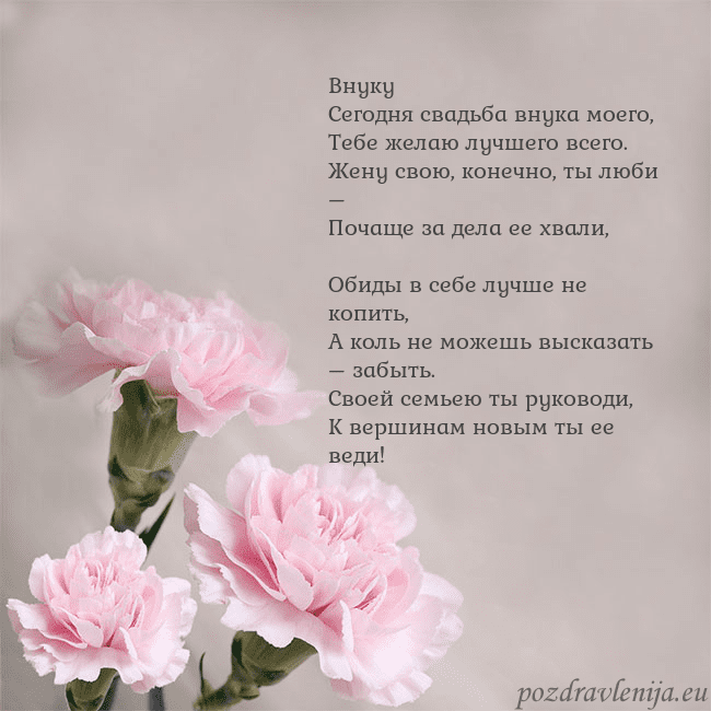 Открытка с розовыми гвоздиками Внуку
Сегодня свадьба внука моего,
Тебе желаю лучш Открытка с розовыми гвоздиками
