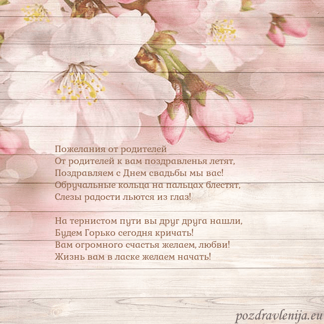 Открытка с цветами яблони Пожелания от родителей
От родителей к вам поздравл Открытка с цветами яблони