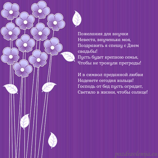 Открытка с фиолетовыми цветами
