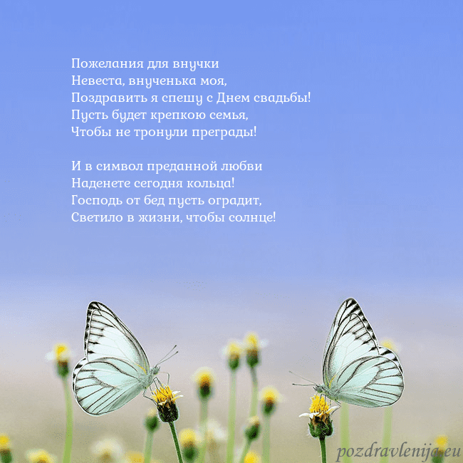 Свадебная открытка с двумя бабочками Пожелания для внучки
Невеста, внученька моя,
Позд Свадебная открытка с двумя бабочками