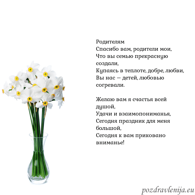 Открытка с нарциссами Родителям
Спасибо вам, родители мои,
Что вы семью Открытка с нарциссами