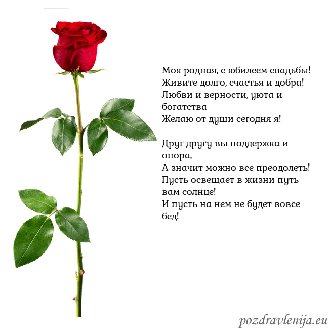 Открытка с красной розой Моя родная, с юбилеем свадьбы!
Живите долго, счаст Открытка с красной розой