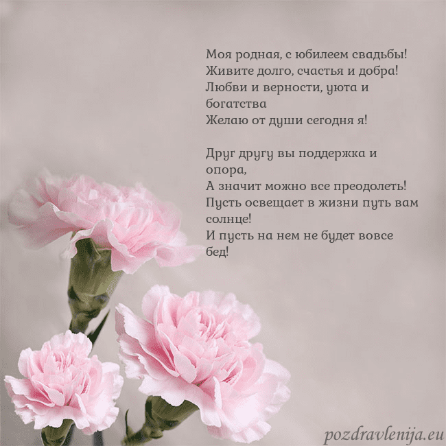 Открытка с розовыми гвоздиками Моя родная, с юбилеем свадьбы!
Живите долго, счаст Открытка с розовыми гвоздиками