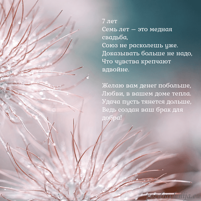 Открытка с пушистыми растениями 7 лет
Семь лет – это медная свадьба,
Союз не раско Открытка с пушистыми растениями