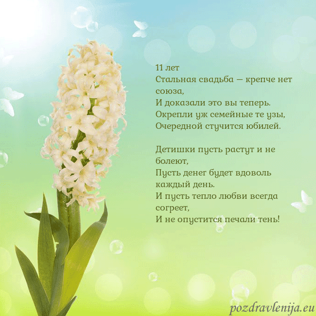 Открытка с гиацинтом 11 лет
Стальная свадьба – крепче нет союза,
И дока Открытка с гиацинтом
