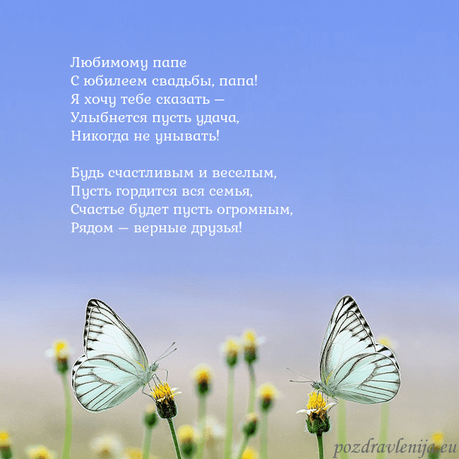Свадебная открытка с двумя бабочками
