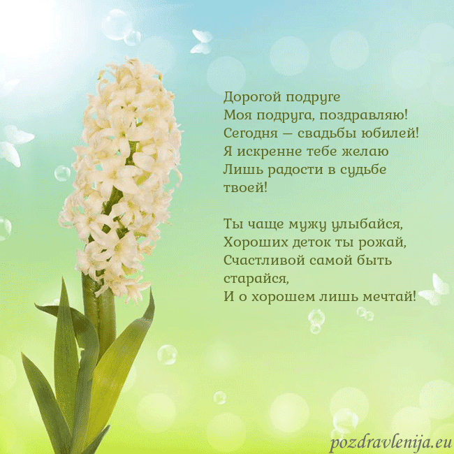 Открытка с гиацинтом Дорогой подруге
Моя подруга, поздравляю!
Сегодня – Открытка с гиацинтом