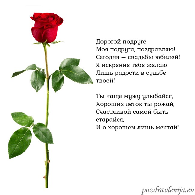 Открытка с красной розой Дорогой подруге
Моя подруга, поздравляю!
Сегодня – Открытка с красной розой