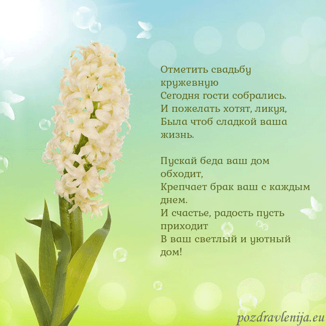 Открытка с гиацинтом Отметить свадьбу кружевную
Сегодня гости собралис Открытка с гиацинтом